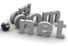 Domain Name and Web Hosting Domain Name and Web Hosting